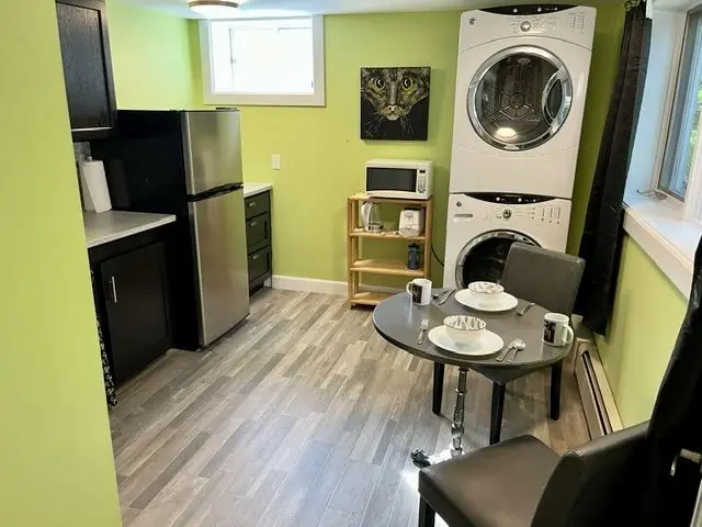 Kitchenette with fridge, microwave and laundry
